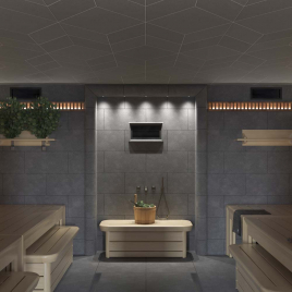 Система интеграции Sangens Spa System X1 (Сангенс Спа система Х1)